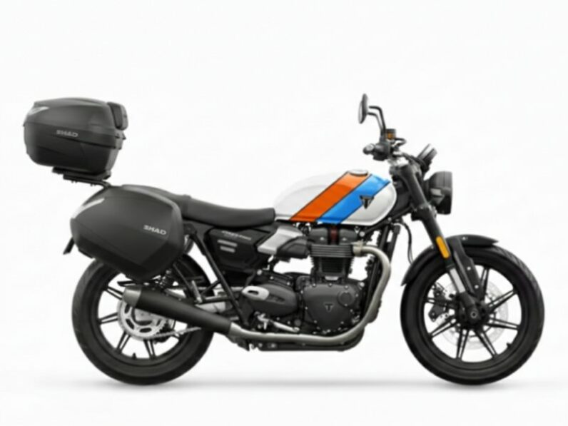 Triumph Speed Twin 900 à la location en Corse à Ajaccio