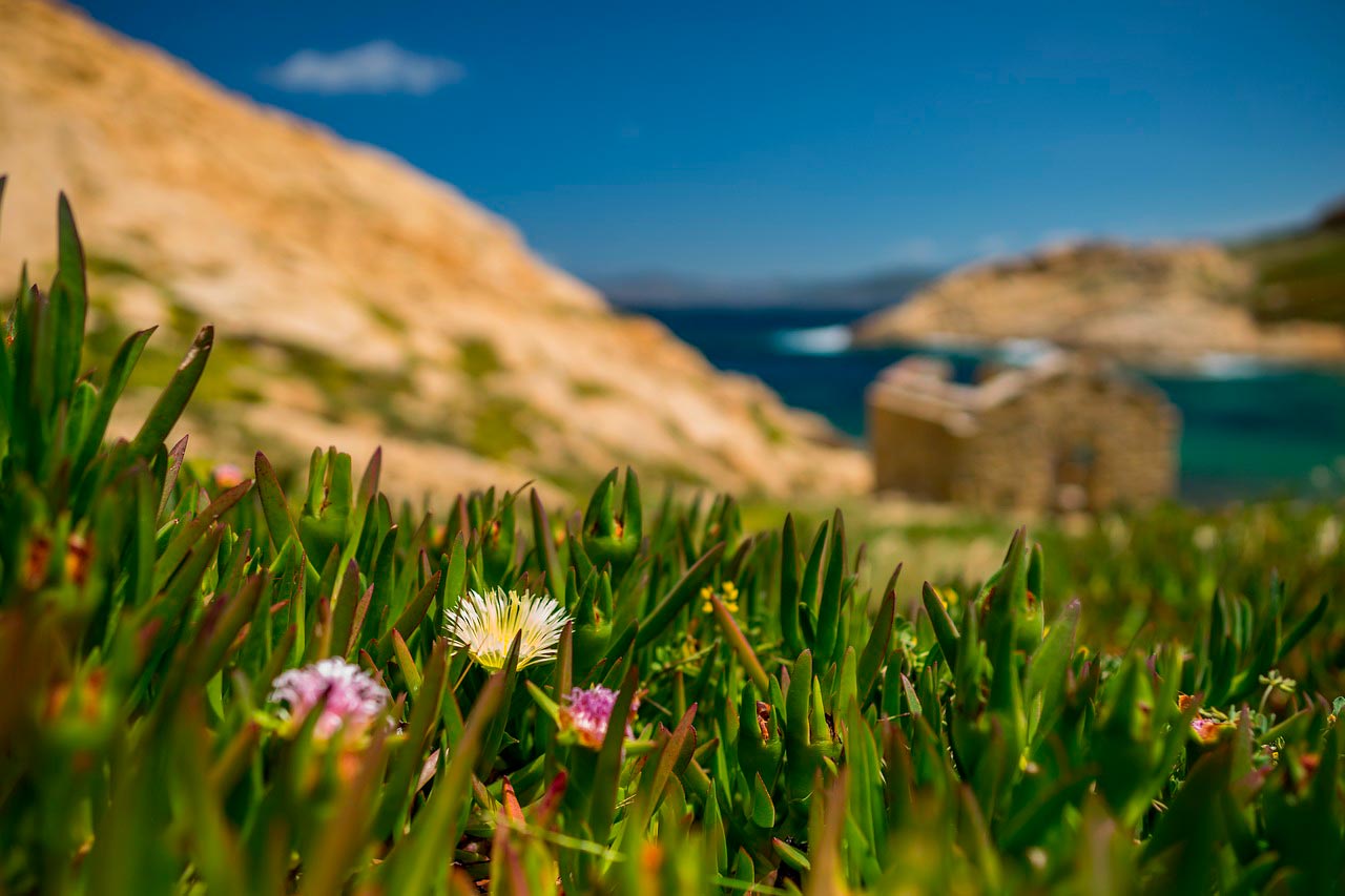 Corsica by motorcycle in spring