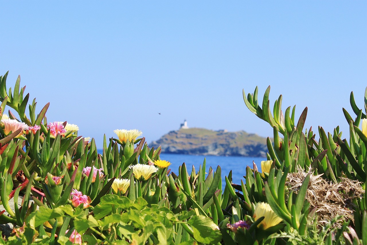 Le Cap Corse et la Corniche de la Serra