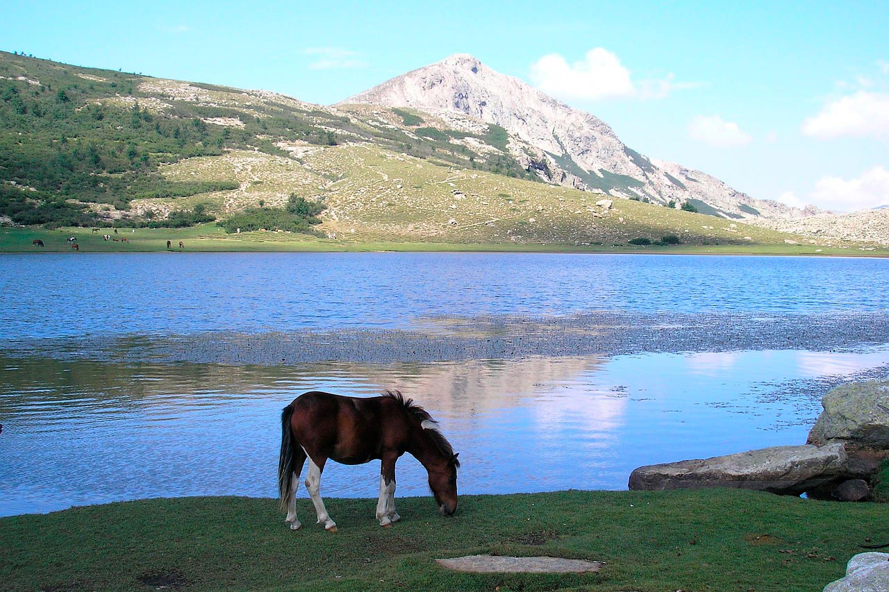 The Vergio pass and the Asco valley