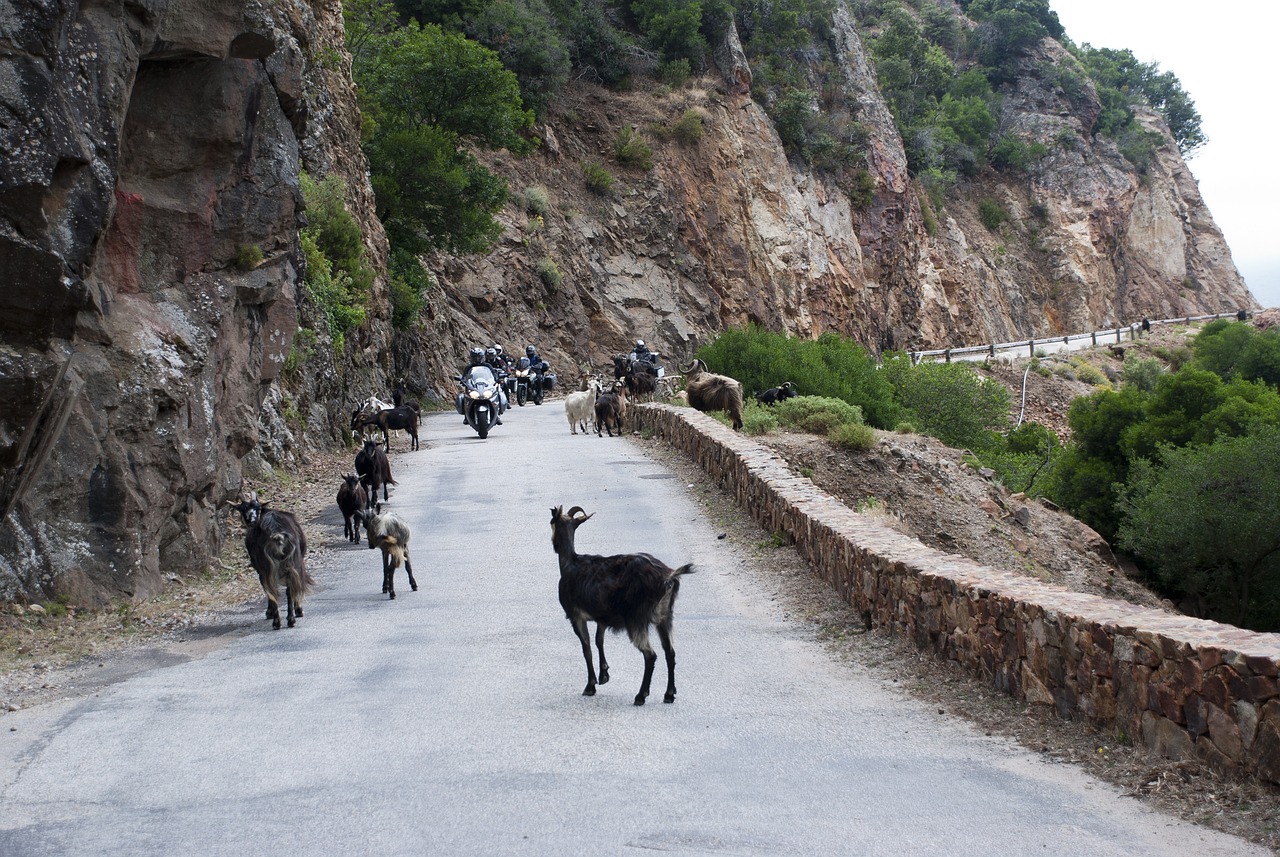 Motorcycle rental in Corsica